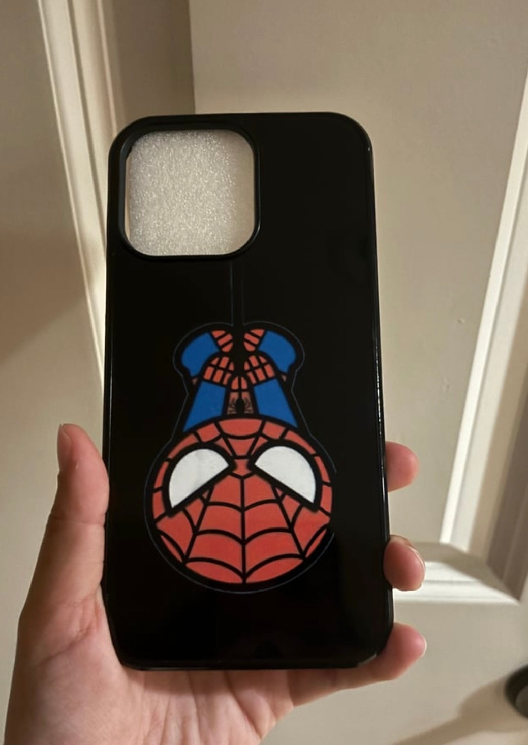 HK and Spider Man Case