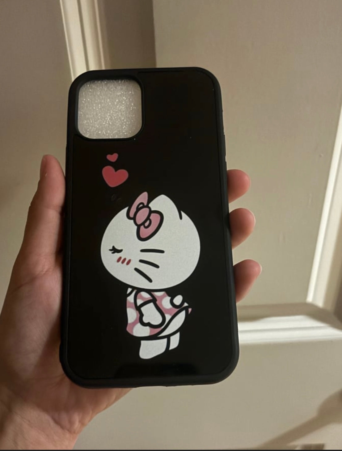 HK and Spider Man Case